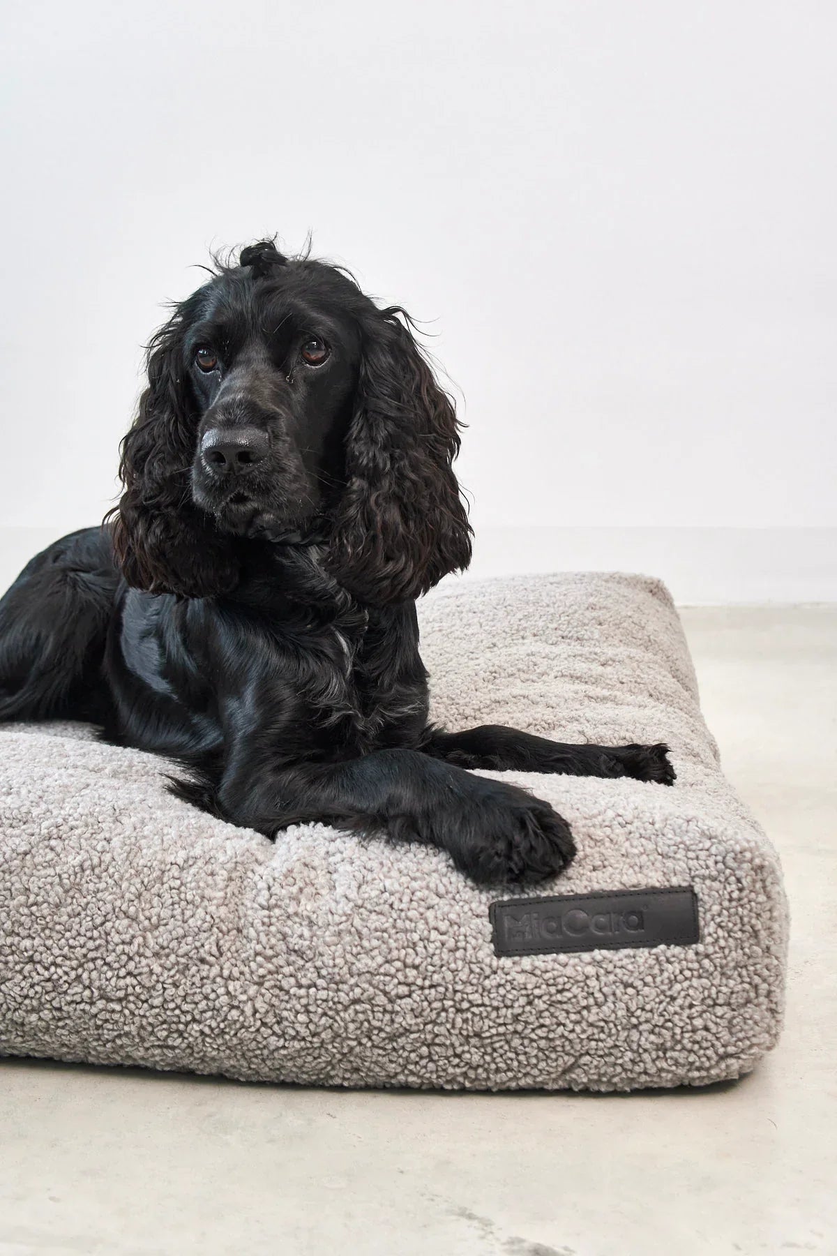 Senso Hundekissen