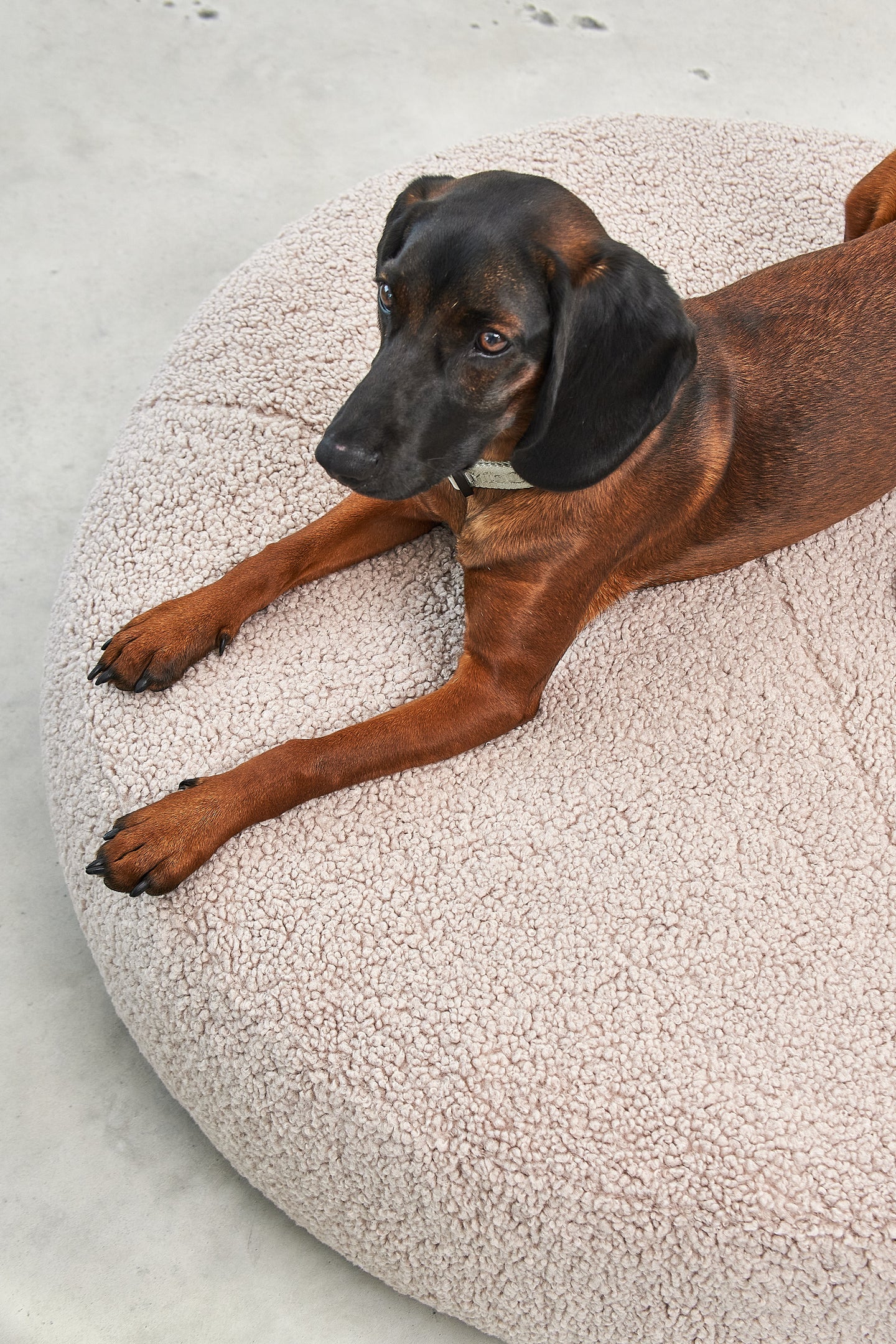 Senso Hundekissen Rund