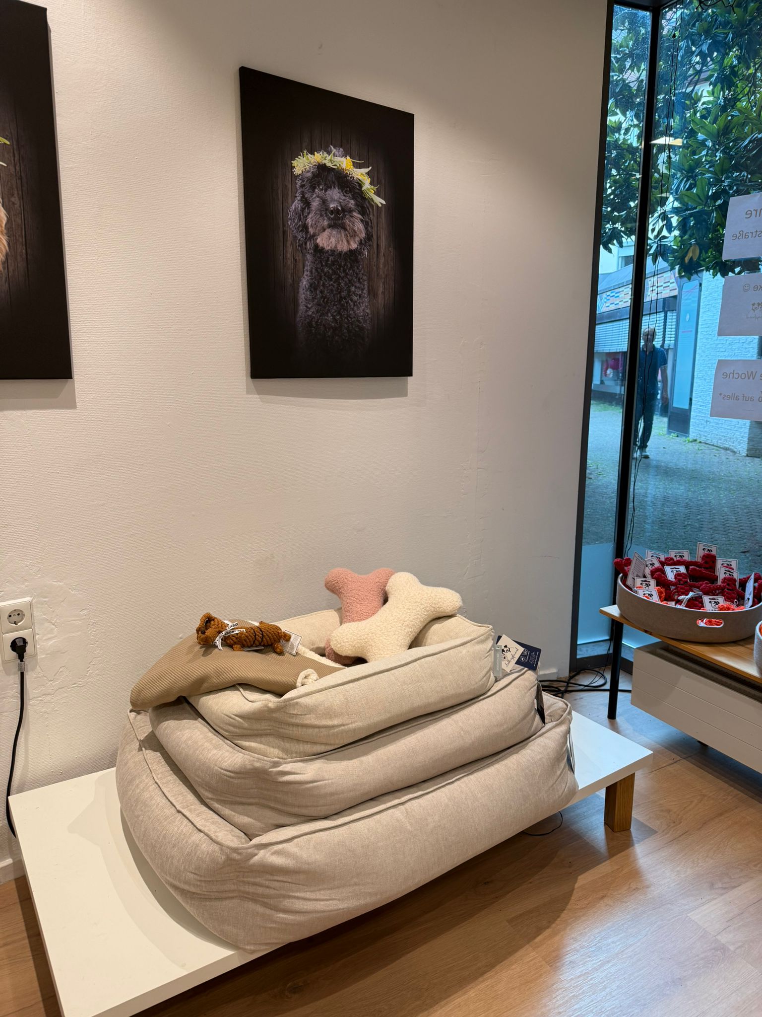 Lieblingsbett