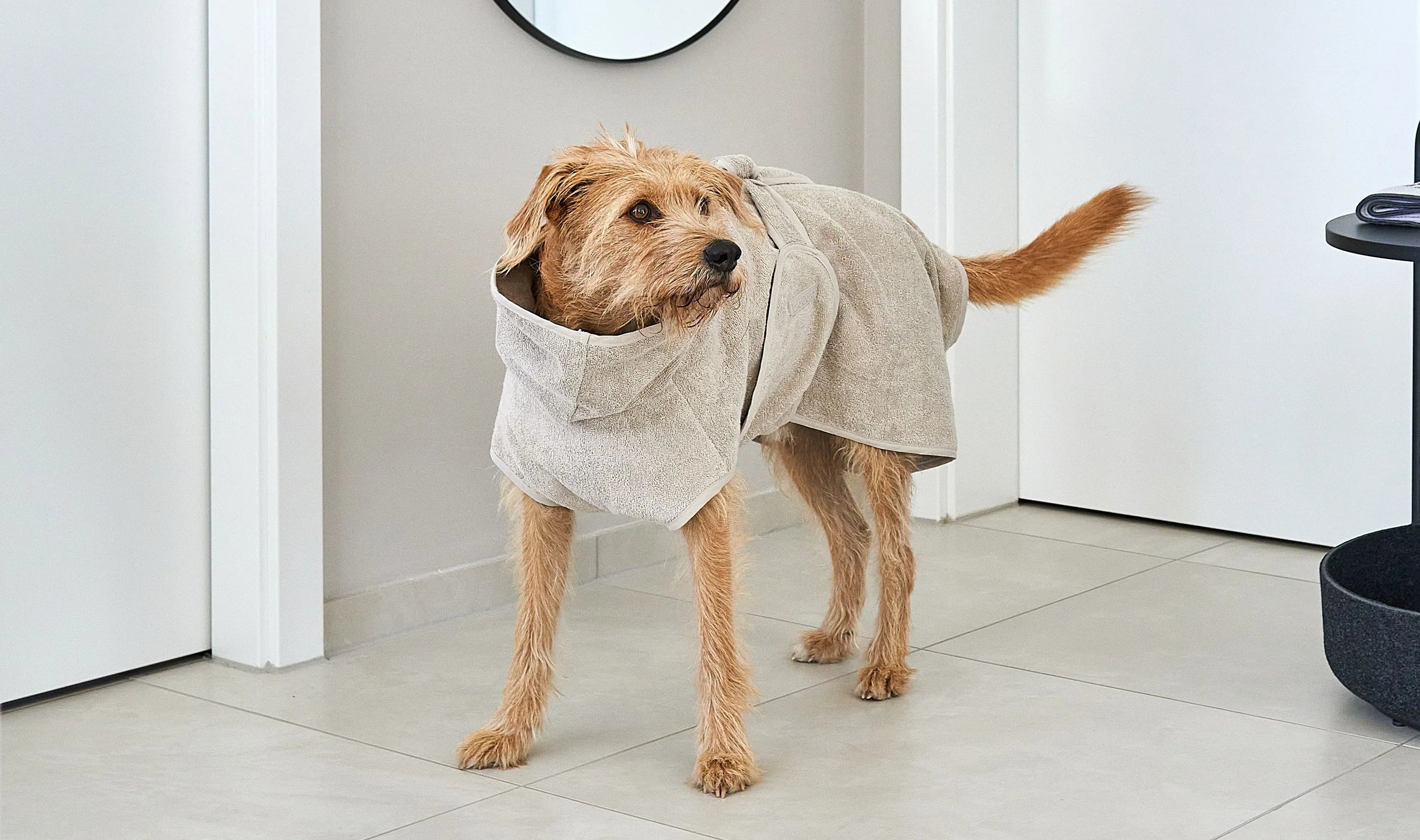 Bagno Hundebademantel